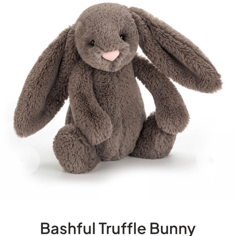 Retired Jellycat Bashful Truffle Bunny